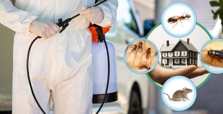 Eşrefpaşa Böcek İlaçlama