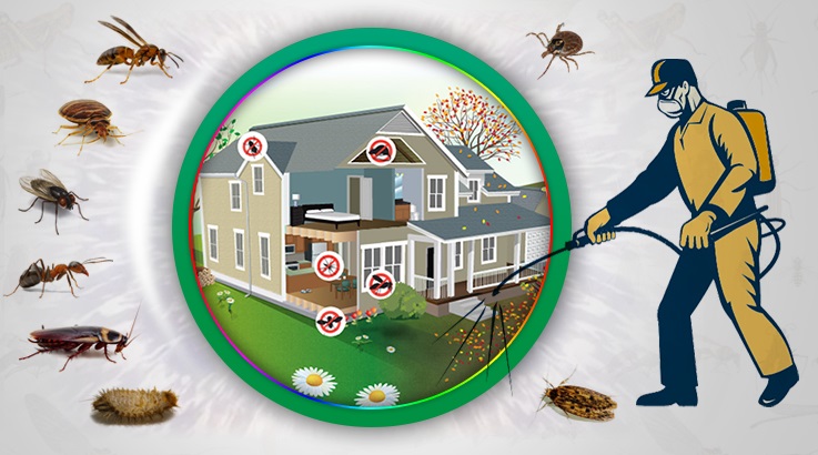 Eşrefpaşa Böcek İlaçlama