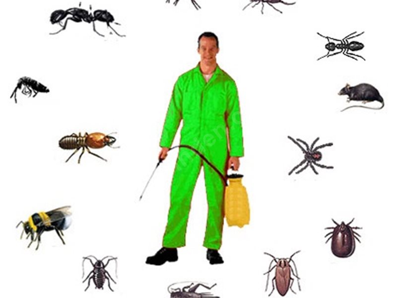 Eşrefpaşa Böcek İlaçlama