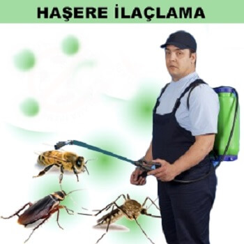 Eşrefpaşa Böcek İlaçlama